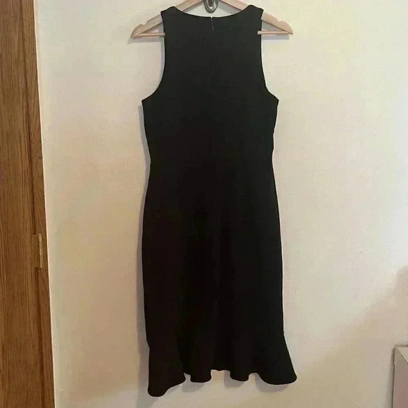 Betsy Johnson Sleeveless Ruffle Hem Dress - Picture 3 of 9